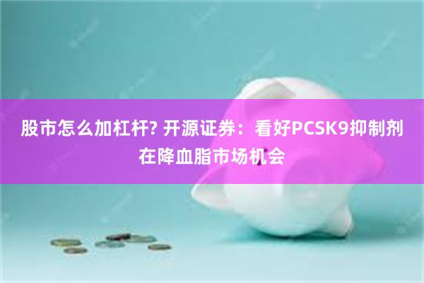 股市怎么加杠杆? 开源证券：看好PCSK9抑制剂在降血脂市场机会