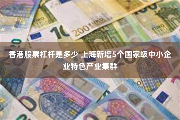 香港股票杠杆是多少 上海新增5个国家级中小企业特色产业集群