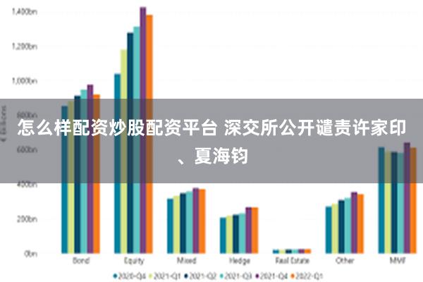 怎么样配资炒股配资平台 深交所公开谴责许家印、夏海钧