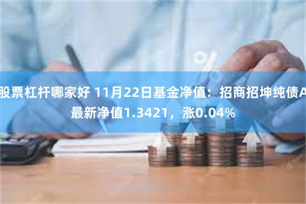 股票杠杆哪家好 11月22日基金净值：招商招坤纯债A最新净值1.3421，涨0.04%