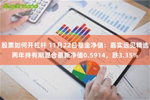 股票如何开杠杆 11月22日基金净值：嘉实远见精选两年持有期混合最新净值0.5914，跌3.35%