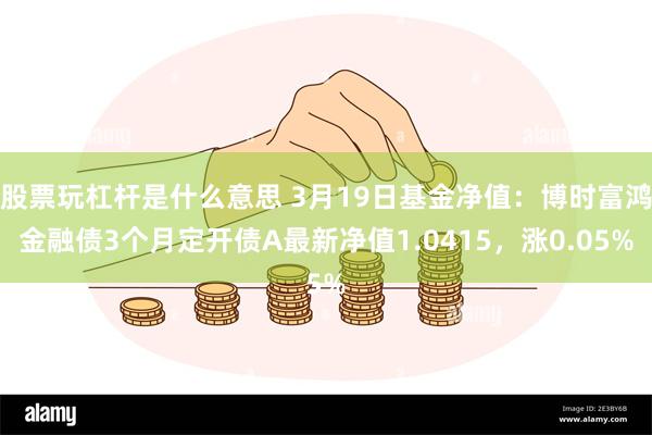 股票玩杠杆是什么意思 3月19日基金净值：博时富鸿金融债3个月定开债A最新净值1.0415，涨0.05%